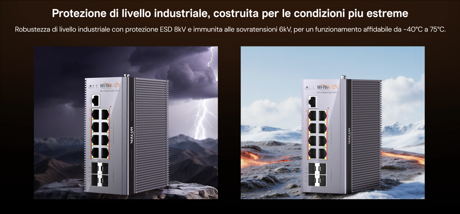 WI-PCMS312GF-BT-I(V3) Protezione industriale